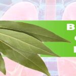 Bay Leaves Help Respiratory System