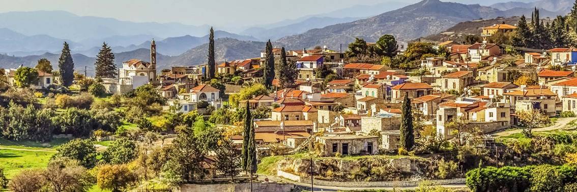 The History of Pareklisia Village