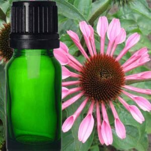 Echinacea tincture is a liquid herbal extract made from the Echinacea plant traditionally used to support the immune system and reduce symptoms common cold and flu, such as sore throat (pharyngitis), cough, and fever