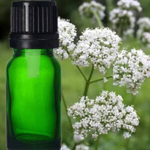 The elixir of calm and sleep. Valerian is the herb of insomnia. It is used to fight stress, nervousness, depression, facilitates sleep, relaxes the central nervous system