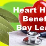 Bay Leaves Feature
