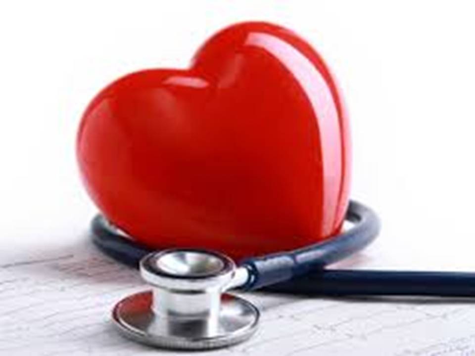 A Human Heart