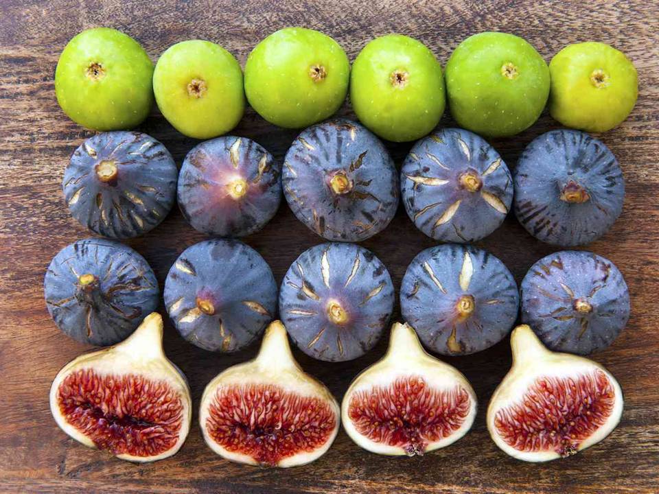 Varieties and Types of Figs