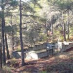 The Secret Cemetery hidden deep in the forests of Cyprus, on a remote slope of the Troodos Mountains, lies a small, forgotten cemetery