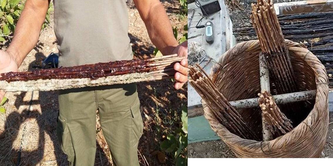 Ξόβερκα: For generations, Cypriot villagers used the natural resources around them in many practical ways.