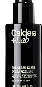 Caldera + Lab The Clean Slate | Men's Organic Foaming Facial Cleanser for Dry, Sensitive, & Normal Skin ? Vegan, Natural & Antioxidant Packed Exfoliating Face Wash