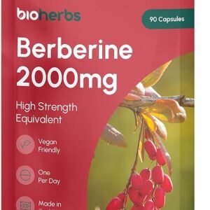Berberine HCL Supplement High Strength - 2000mg 99% HCL by BioHerbs | 90 One-Per-Day Capsules (3-Month Supply)